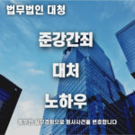 준강간죄 변호사