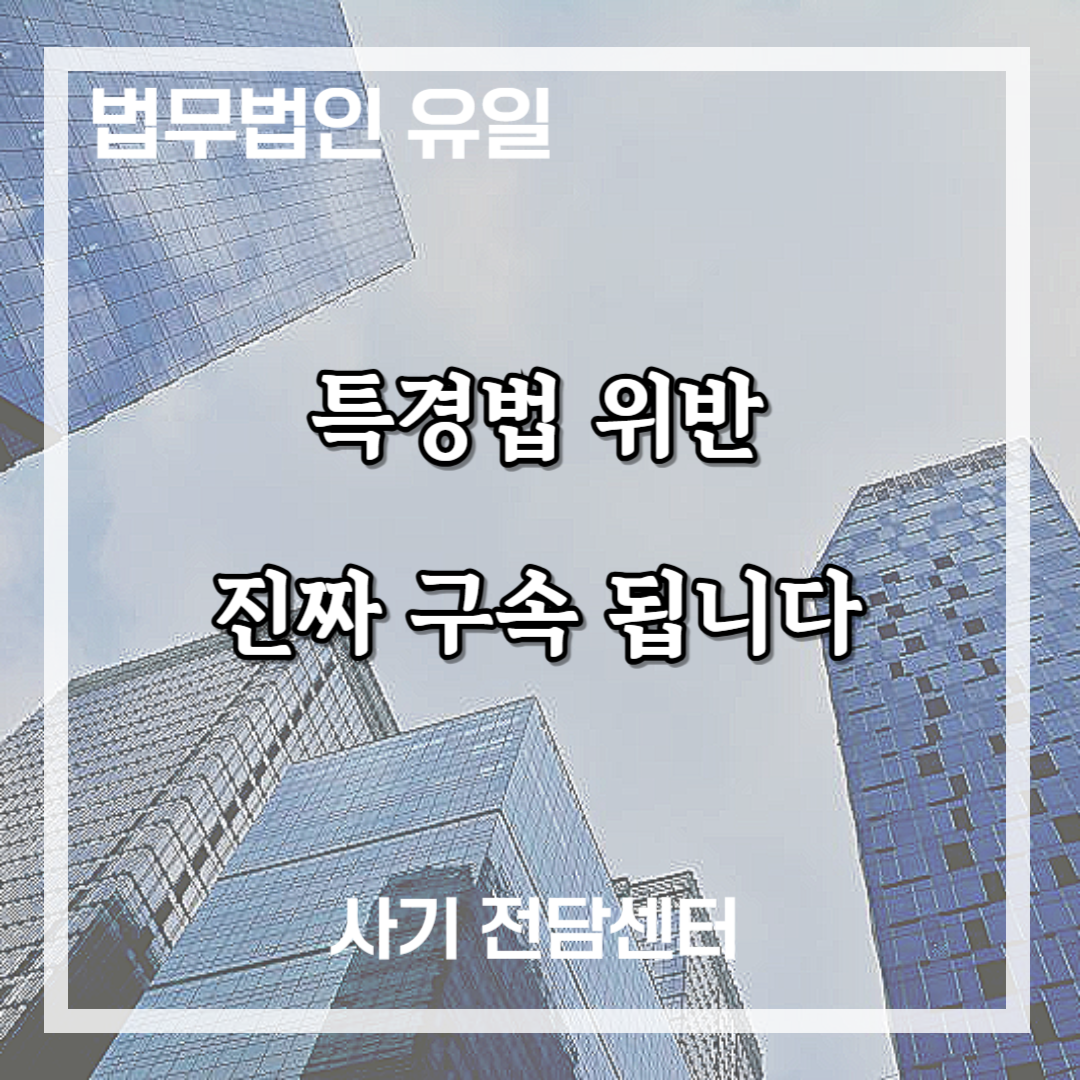 특경법 위반 구속