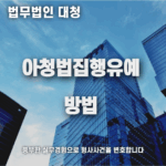 아청법집행유예