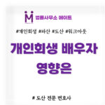 개인회생 배우자