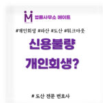 신용불량 개인회생