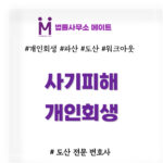 사기피해 개인회생