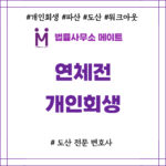 연체전개인회생